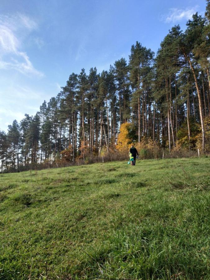 Domki Nad Jeziorem - Zalesie 7D Zalesie (Olsztyn) Ngoại thất bức ảnh