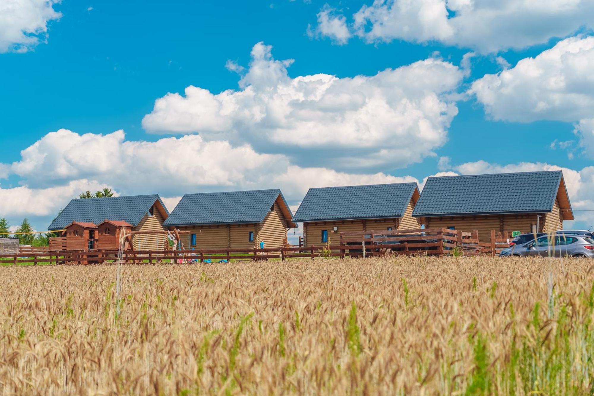Domki Nad Jeziorem - Zalesie 7D Zalesie (Olsztyn) Ngoại thất bức ảnh